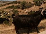 Sithonia_funny_roads (9)